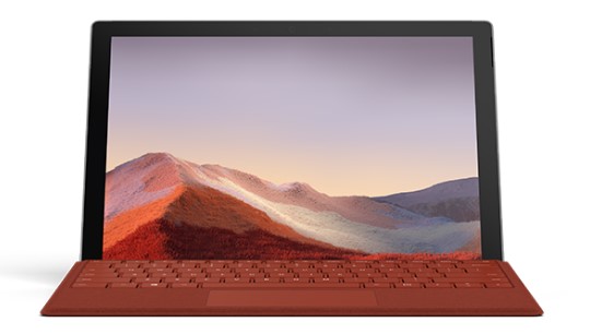 鱼峰清洁和维护 Surface